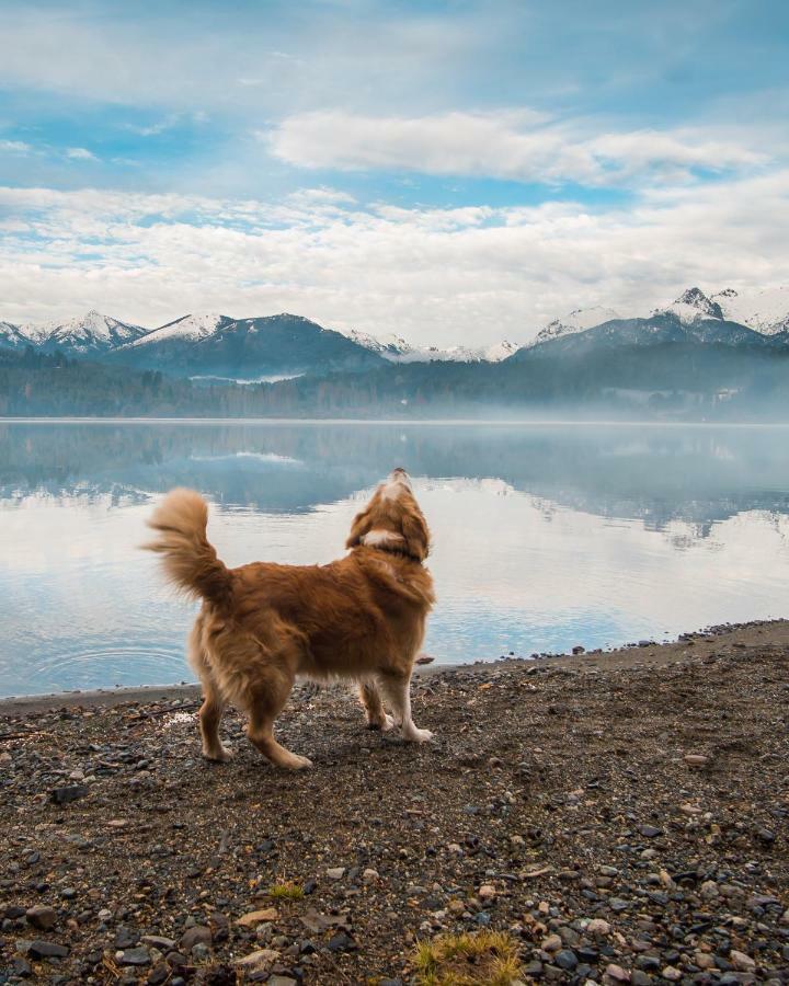 Hotel Peninsula Petit Bariloche Zewnętrze zdjęcie